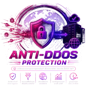 Anti-DDoS Protection